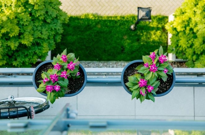 Vantagens de ter um apartamento com áreas verdes.