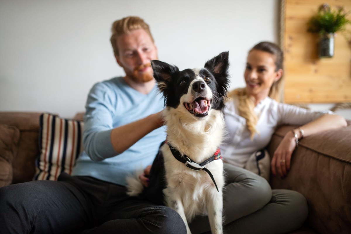 Como escolher um imóvel pet friendly (e o que isso realmente significa)